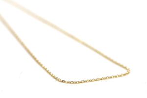 IMG_5801-fotor-20260210143052 IMG_5801-fotor-20260210143052