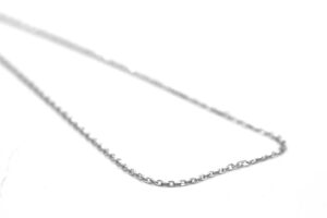 IMG_7290-fotor-2026040212715